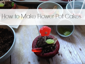 How to make flower pot cakes